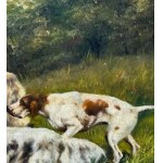 ANONIMO, Dogs