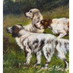 ANONIMO, Dogs