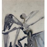 DALì, Untitled - DALì