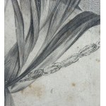Carelli, Portrait de femme - Carelli