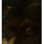 ANONIMO, Nature morte