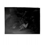 ANONIMO, Nature morte