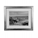 UNIDENTIFIED SIGNATURE, Seascape