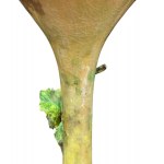 Paire de vases en céramique