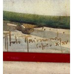 UNIDENTIFIED SIGNATURE, Marina of Capri