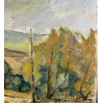 ARTISTA NON IDENTIFICATO, Paesaggio