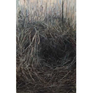 Veronica Bober, Home II