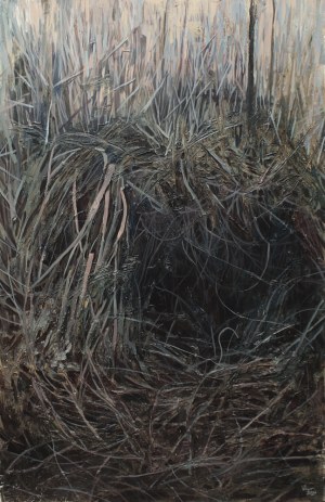 Weronika Bober, Home II