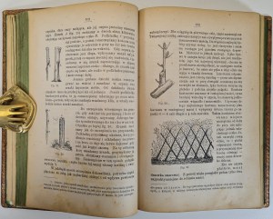 JANKOWSKI Edmund - SAD AND OGRÓD OWOCOWY Wyd. 1878 Illustrations