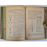 JANKOWSKI Edmund - SAD I OGRÓD OWOCOWY Wyd. 1878 Illustrations