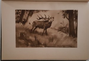 EJSMOND Julian - MOJE PRZYGODY ŁOWIECKIE ilustrace Mackiewicz