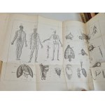 WITOWSKI Hipolit NATURAL HISTORY Lviv 1849-1851 Ensemble de 3 volumes en un seul.