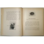 SOKOLNICKI Michał - GUERRE POLSKO-RUSSIE EN 1831 ET EN 1919 ILLUSTRATIONS ET CARTES