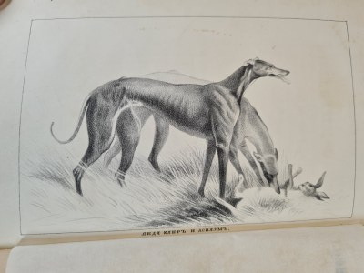 Journal of horse breeding and hunting in 1857 Журнал коннозаводства и охоты на 1857 No. 9-12 September-December St. Petersburg 1857 Russian language