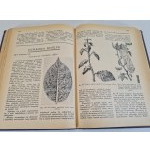 GARDENER'S AND AGRICULTURAL HANDBOOK Yearbook 1938 Illustrations