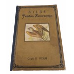 Vezi asemănătoare