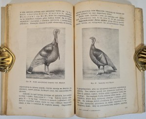 TRYBULSKI Maurycy - DRÓB UŻYTKOWY W GOSPODARSTWIE Wyd. 1939 Ilustrace