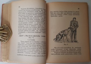 RAKOWSKI B. - TRESURA PSA with 19 drawings in the text Wyd.1938