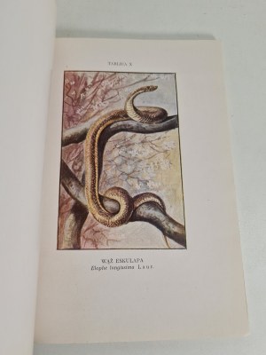 MARCHLEWSKI Jan - Album des animaux domestiques protégés Illustrations en couleurs sur les planches