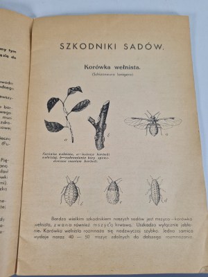 Autumn and winter cleanup of orchards and aphid control in summer TEREBENTHEN S.A. Warsaw