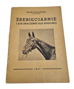 RADOMYSKI Adam - ŹREBIĘCIARNIE ICH ZNOTACZENIE DLA HODOWLI Wyd.1937 Ilustrace
