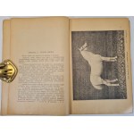 GRABOWSKI Jan - NAJWAŻNIEJSZE BŁĘDY GOSPODARSKIEJ HODOWLI KONI I SPOSOBY JEJ PODNIESIENIA Wyd. 1927 Ilustracje