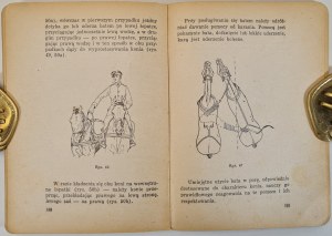 INSTRUKCJA UJEŻDŻANIA KONI Ministerstwa Obrony Narodowej Wyd. 1946 Ilustracje