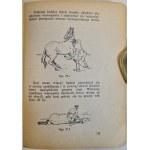 INSTRUKCJA UJEŻDŻANIA KONI Ministerstwa Obrony Narodowej Wyd. 1946 Ilustracje