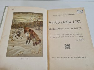 GUSTAWICZ Bronisław, WYROBEK Emil - WŚRÓD LASÓW I PÓL: Przechadzki przyrodnicze Wyd.1914 ILUSTRACJE