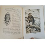 GUSTAWICZ Bronislaw, WYROBEK Emil - WŚRÓD LASÓW I PÓL: Nature Walks Wyd.1914 ILLUSTRATIONS