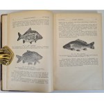 MIZERSKI M. - GOSPODARSTWO KARPIOWE Wyd. 1935 Illustrations