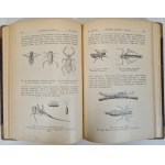 MIZERSKI M. - GOSPODARSTWO KARPIOWE Wyd. 1935 Illustrations
