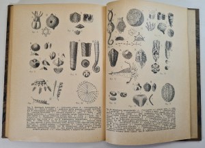 SIEMIRADZKI Józef - WHAT ARE THE KAMIENIE? A brief outline of the history of the transformations and wanderings of the organic world on earth, with an Atlas of 97 engravings, ed.1929