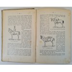 LASKOWSKI Kazimierz - DZIESIĘĆ SPORTÓW DLA MŁODZIEŻY z 93 ilustracjami w tekście, wyd.1912