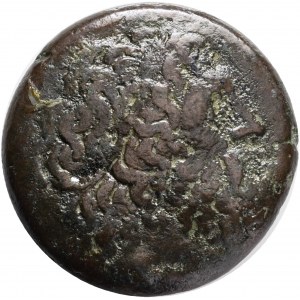 Ptolemaic Kings of Egypt, Ptolemy II Philadelphos Æ Diobol. Sicilian mint, probably Syracuse, under Hieron II, circa 265 BC. Obv.: Laureate head of Zeus right. Rev.: ΒΑΣΙΛΕΩΣ ΠΤΟΛΕΜΑΙΟΥ,Eagle standing left on thunderbolt; Galatian shield in left field, N 