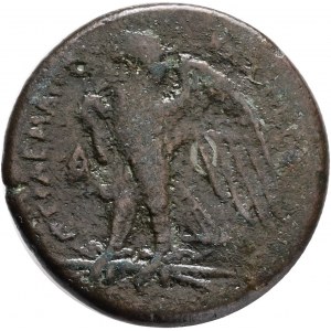 Ptolemaic Kings of Egypt, Ptolemy II Philadelphos Æ Diobol. Sicilian mint, probably Syracuse, under Hieron II, circa 265 BC. Obv.: Laureate head of Zeus right. Rev.: ΒΑΣΙΛΕΩΣ ΠΤΟΛΕΜΑΙΟΥ,Eagle standing left on thunderbolt; Galatian shield in left field, N 