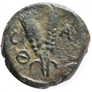 COMMAGENE. Samosata. Time of Hadrian, 117-138. Ae, Obv.: Two crossed cornucopias. Rev. Two ears of grain; C-A / Θ-N (date). Ref.: RPC III 3416; Butcher 11a. RRR!!! AE 1,87g