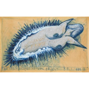Franciszek Starowieyski (1930 Bratkówka k. Krosna - 2009 Warszawa), Niezidentyfikowany obiekt seksualny, 1989