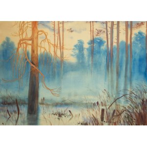 Stanisław Fabijański (1865 Paryż - 1947 Kraków), Mgły leśne, 1918 r.