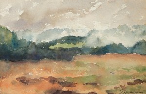 Georg Wichmann (1876 Lwówek Śląski - 1944 Szklarska Poręba), Jesienne mgły