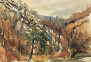 Georg Wichmann (1876 Lwówek Śląski - 1944 Szklarska Poręba), W dolinie