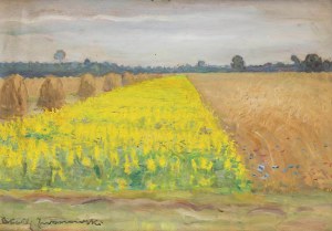 Błażej Iwanowski (1889 Jabłonna-1966 Warszawa), Kwitnące pole