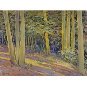 Mieczysław SIEMIŃSKI (1891-1965), Sonnenaufgang unter den Bäumen