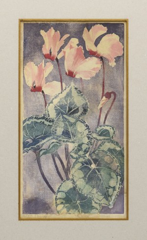 Adam BUNSCH (1896-1969), Cyklameny