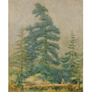 Józef PIENIĄŻEK (1888-1953), Pejzaż z drzewami iglastymi