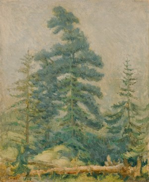 Józef PIENIĄŻEK (1888-1953), Pejzaż z drzewami iglastymi