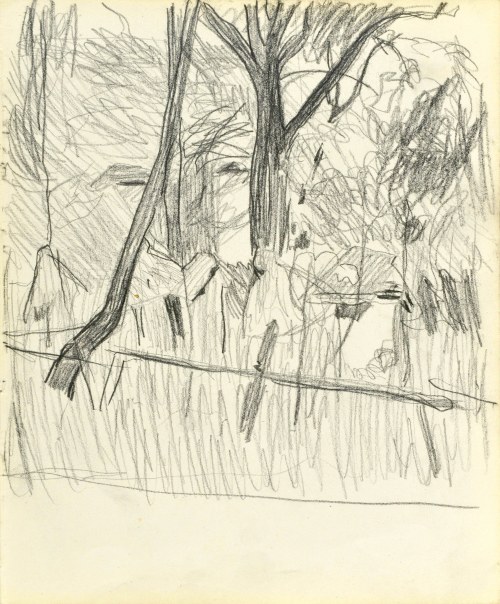 Stanisław KAMOCKI (1875-1944), Drzewo, VI 1903