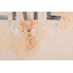 Jadwiga Sawicka (ur. 1959, Przemyśl), Martwe materie, 2014