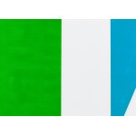 Włodzimierz Pawlak (b. 1957, Korytów near Żyrardów), Note on Art 1A/X, 2021