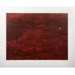 Henryk OPAŁKA (1929-2018), Red fish, 2002